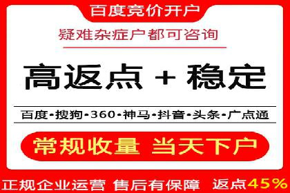 行业领先的SEM投放效果案例解析